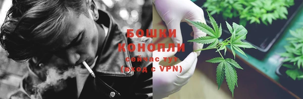 дурь Верея