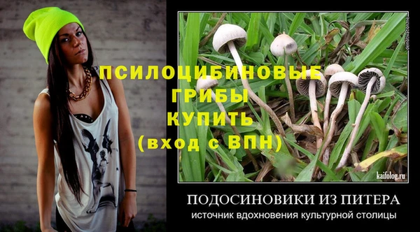 дурь Верея