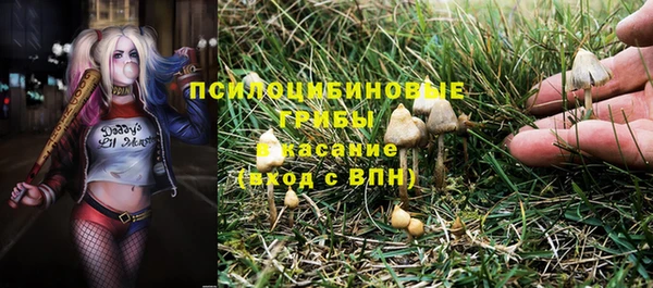 стафф Волоколамск