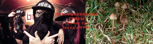 дурь Верея