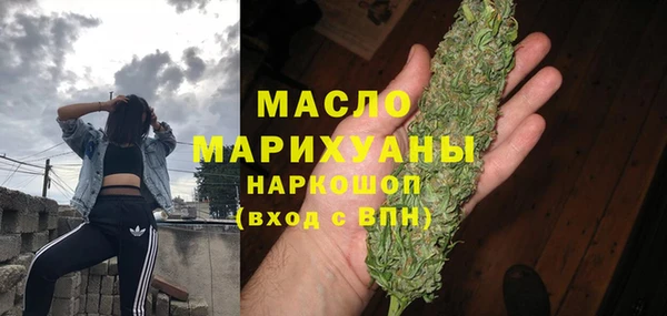 амф Верхний Тагил